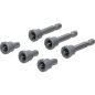 Preview: Bit Set with Depth Stop | for Plasterboard | 6.3 mm (1/4") Drive | Cross Slot PH 2 | 6 pcs.