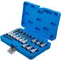 Preview: Bit Socket Set | 6.3 mm (1/4") / 12.5 mm (1/2") Drive | T-Star (for Torx) | 18 pcs.