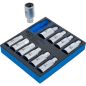 Preview: Tool Tray 1/6: Stud Extractor Set | 5 - 16 mm | 11 pcs.