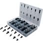 Preview: Automotive Clip Assortment | Universal | 192 pcs.