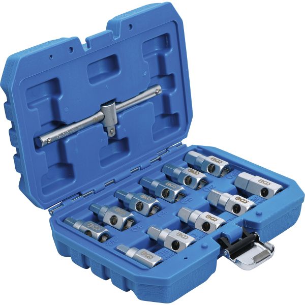 Universal Oil Drain Socket Set | 12 pcs.