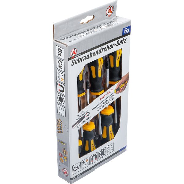 Screwdriver Set | T-Star (for Torx) T10 - T30 | 6 pcs.