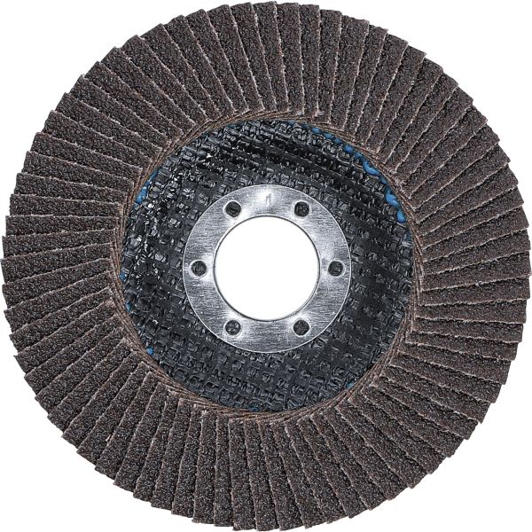 Flap Disc | Ø 115 mm | K 60