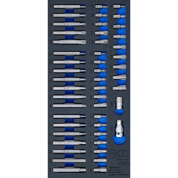 Tool Tray 1/3: Combined Bit Set | 49 pcs.