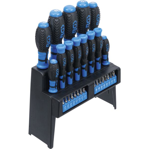 Screwdriver Set | with Bit Assortment | in a Plastic Stand | 29 pcs.