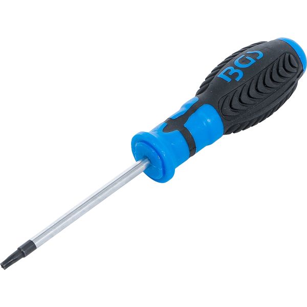 Tournevis profil T (pour Torx) avec perçage T20 | longueur de la lame 80 mm