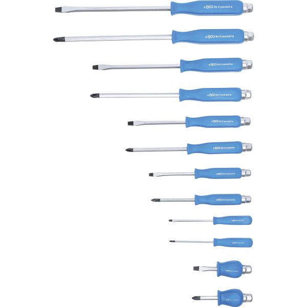 Jeu de tournevis | 12 pièces