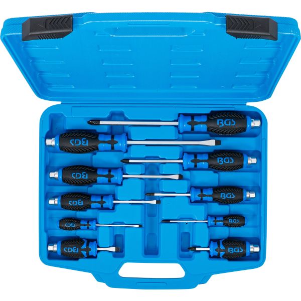 Screwdriver Set | 10 pcs.