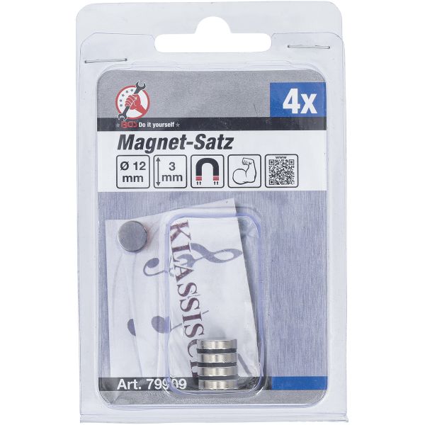 Magnet Set | extra strong | Ø 12 mm | 4 pcs.