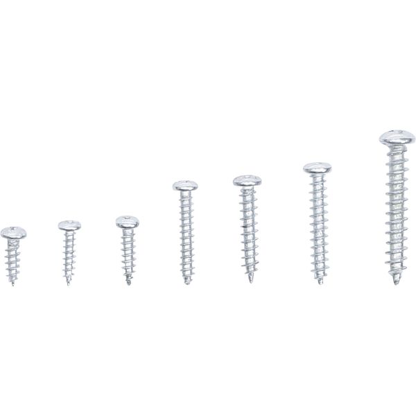 Sheet Metal Screw Assortment | 175 pcs.