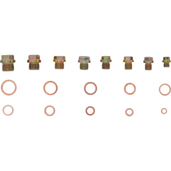 Ölwannenschrauben- und Kupfer-Dichtring-Sortiment | 534-tlg.