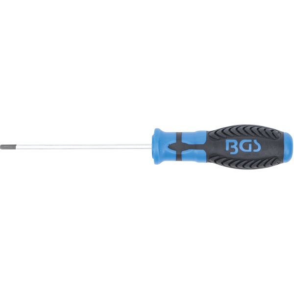 Screwdriver | internal Hexagon 3 mm | Blade Length 100 mm