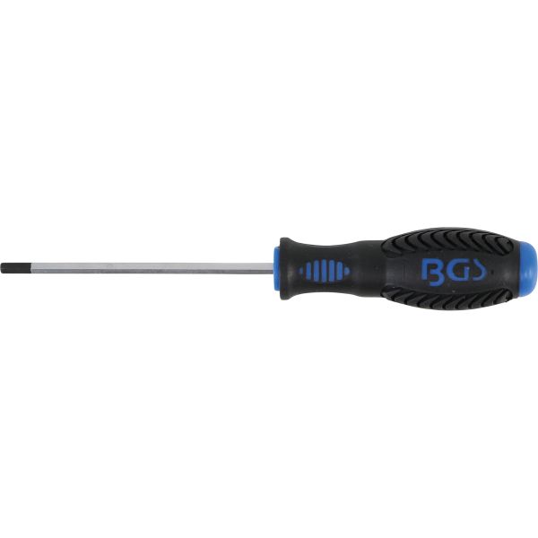 Screwdriver | internal Hexagon 4 mm | Blade Length 100 mm