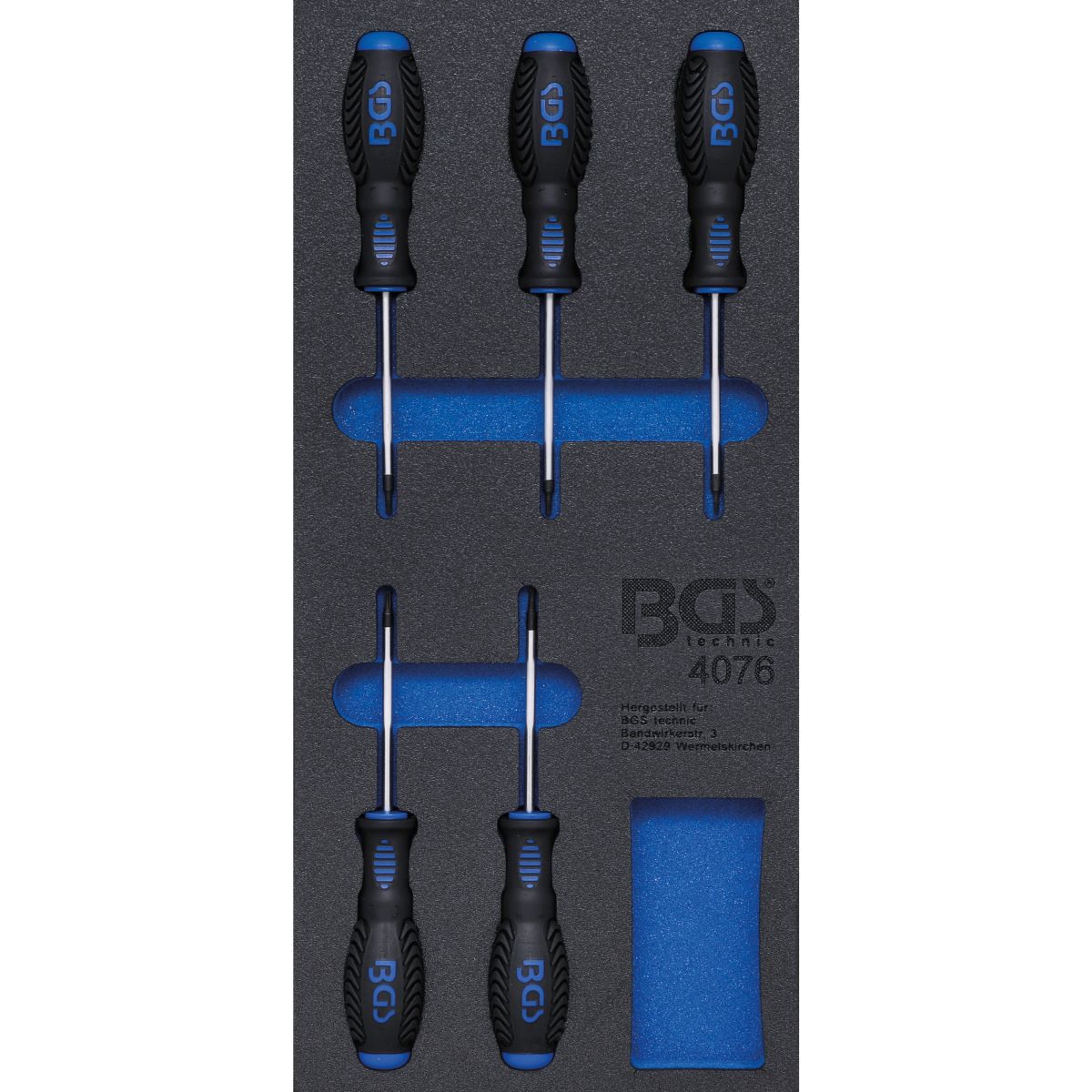 Tool Tray 1/3: Screwdriver T-Star (for Torx) | 5 pcs.