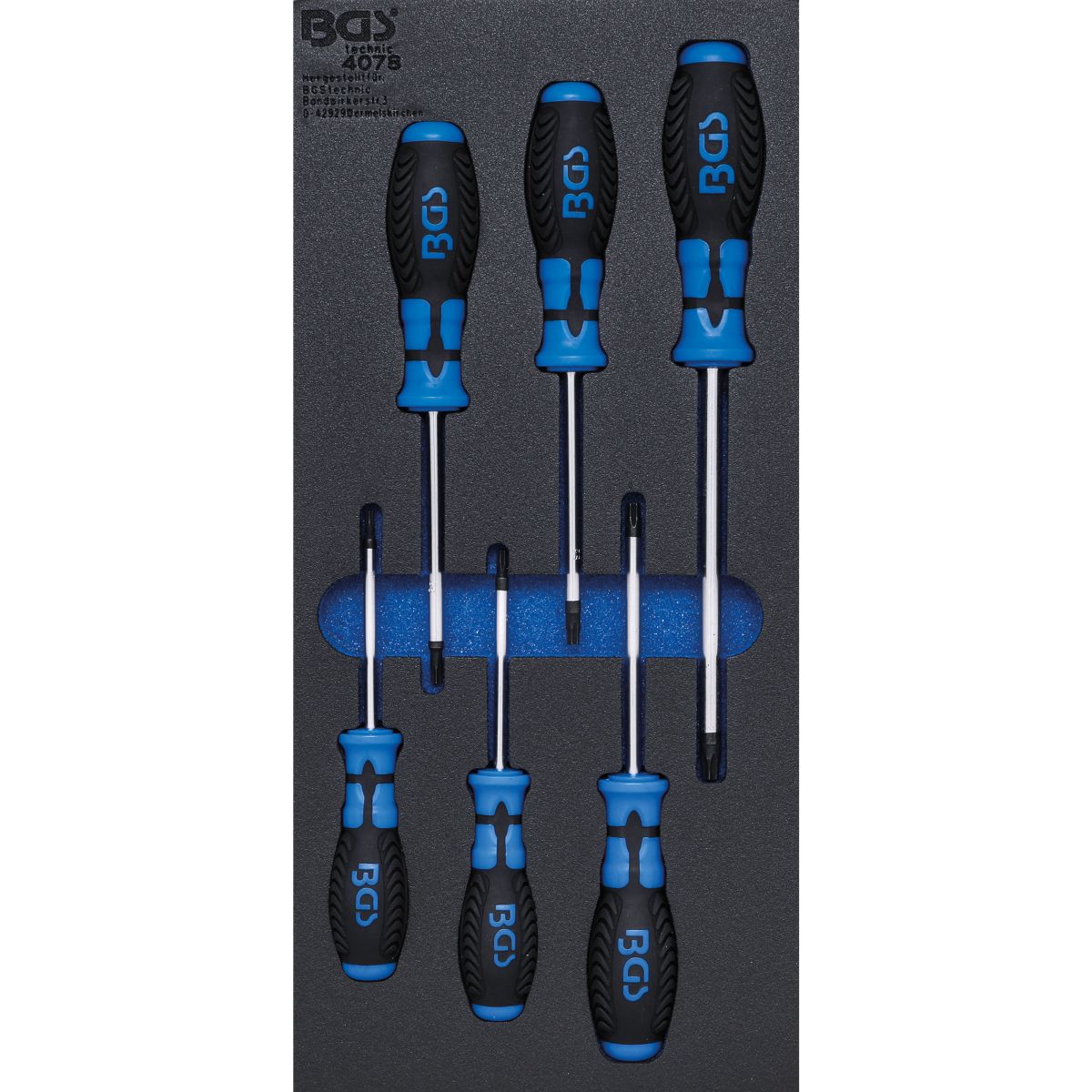 Tool Tray 1/3: Screwdriver T-Star (for Torx) | 6 pcs.