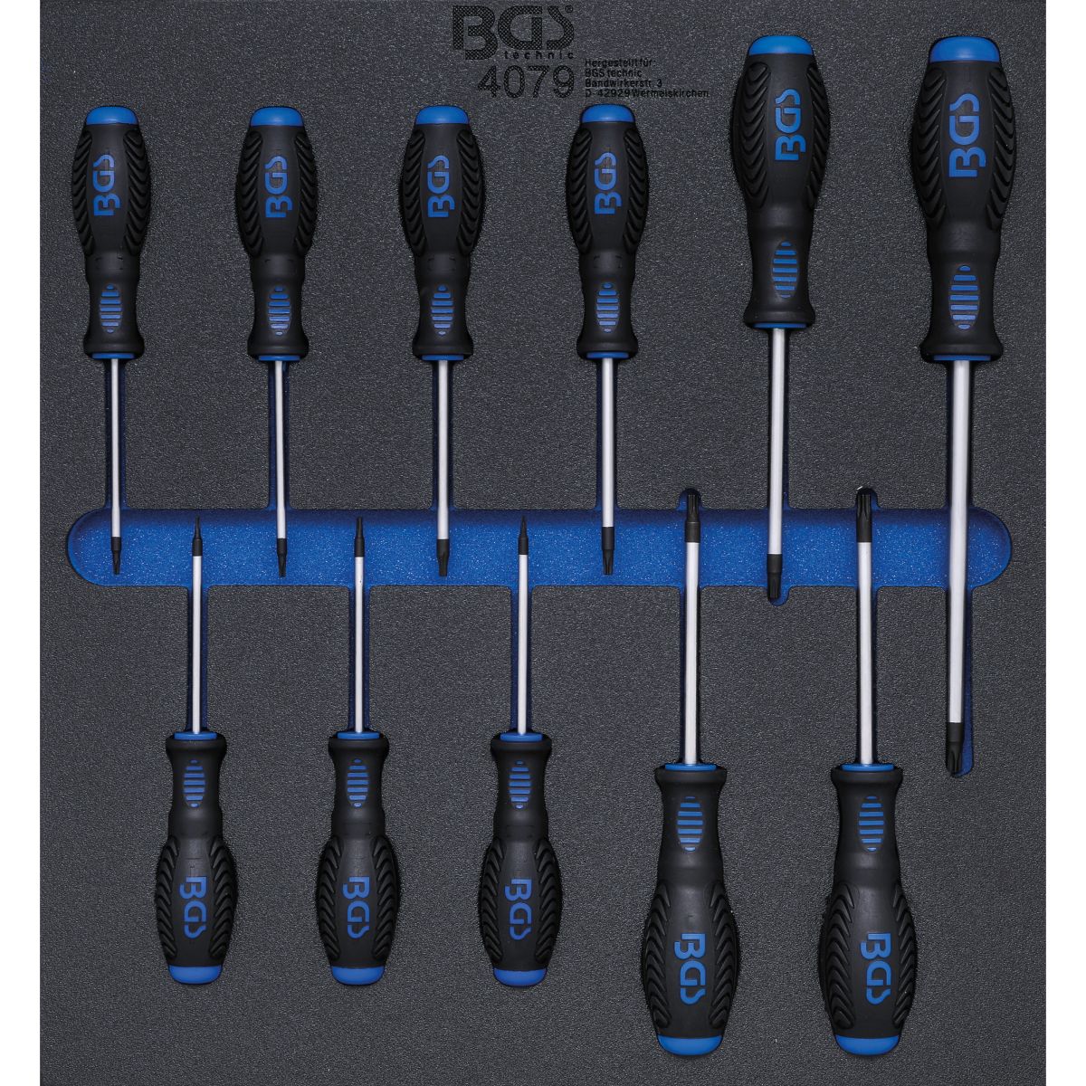 Tool Tray 2/3: Screwdriver Set | T-Star (for Torx) T6 - T40 | 11 pcs.