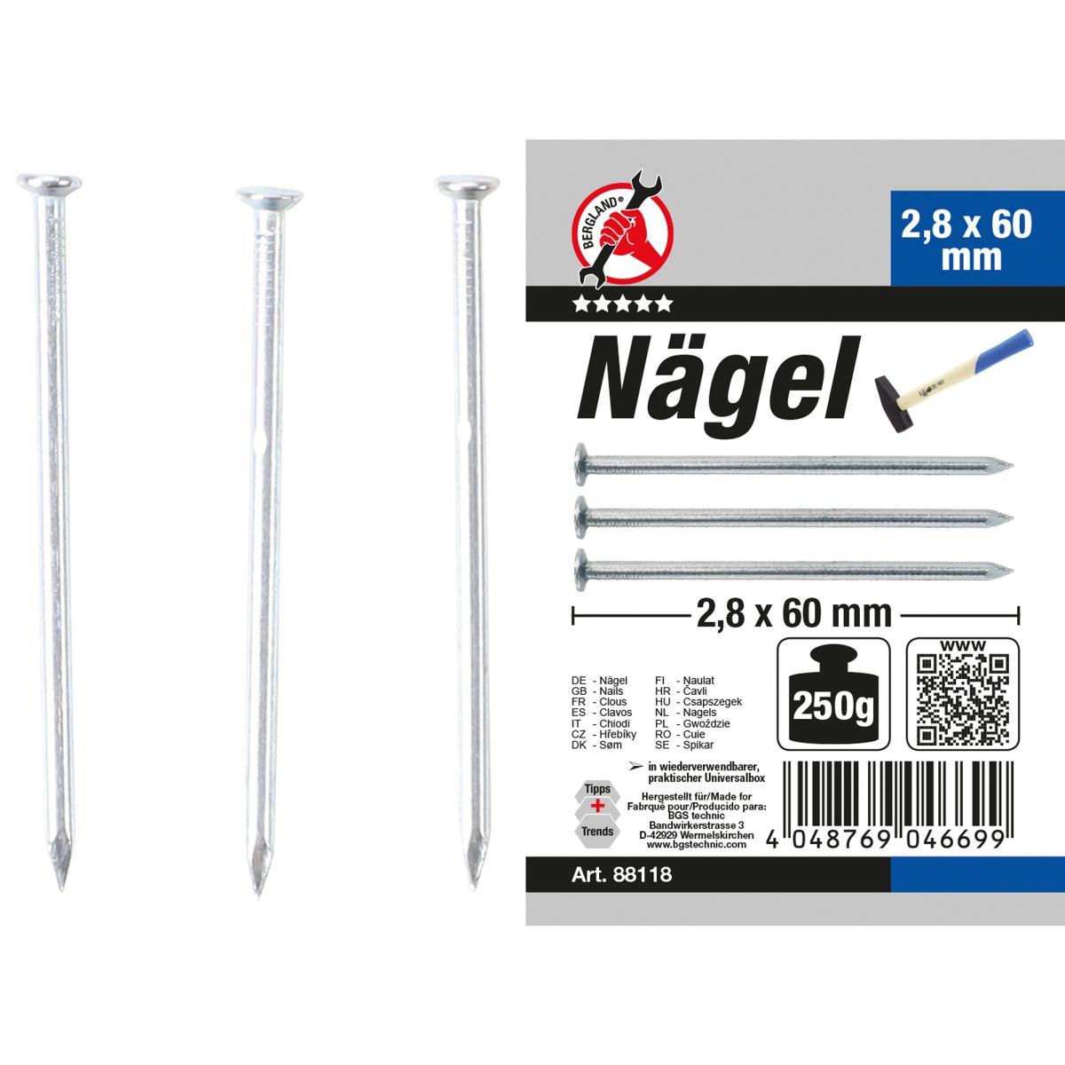 Nägel-Sortiment | 250 g | 2,8 x 60 mm