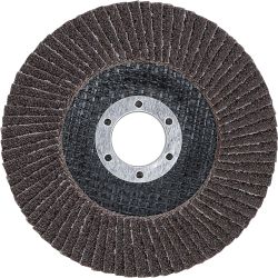 Flap Disc | Ø 115 mm | K 40