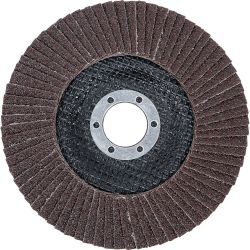 Flap Disc | Ø 125 mm | K 60