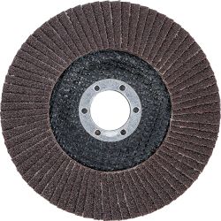 Flap Disc | Ø 125 mm | K 80