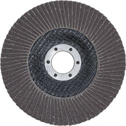 Flap Disc | Ø 125 mm | K 120