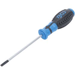 Screwdriver | Slot SL 5.5 mm | Blade Length 125 mm