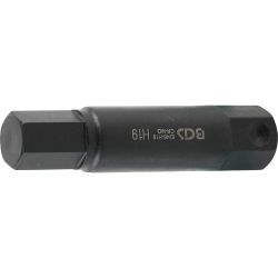 Bit | length 100 mm | 22 mm Drive | internal Hexagon 19 mm