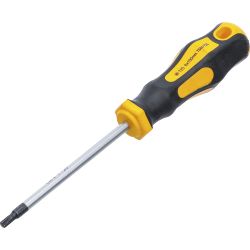 Tournevis | profil en T (pour Torx) T25 | longueur de la lame 100 mm